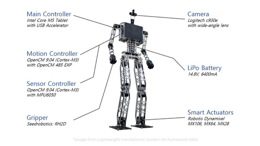 Mastering the Future: A Deep Dive into Humanoid Robotics